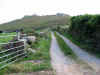 The field path from St. Ives to Zennor 16