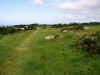 The field path from St. Ives to Zennor 7