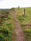 The path from Zennor to Gurnard's Head 16