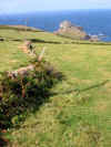 The path from Zennor to Gurnard's Head 30