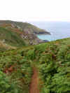 The path from Zennor to Gurnard's Head 4