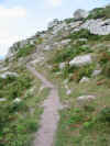 Coast path between Zennor and St. Ives, Cornwall 12