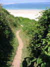 Coast path above Porth Kidney, St. Ives Bay, Cornwall 1