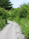 Route around Rosewall Hill, St. Ives, Cornwall 6