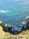 Coast path between Zennor and St. Ives, Cornwall 2